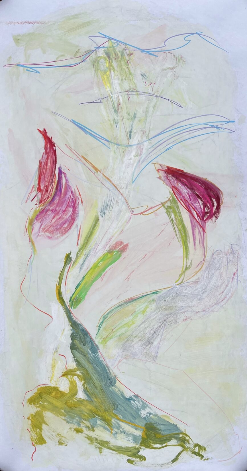 Calla